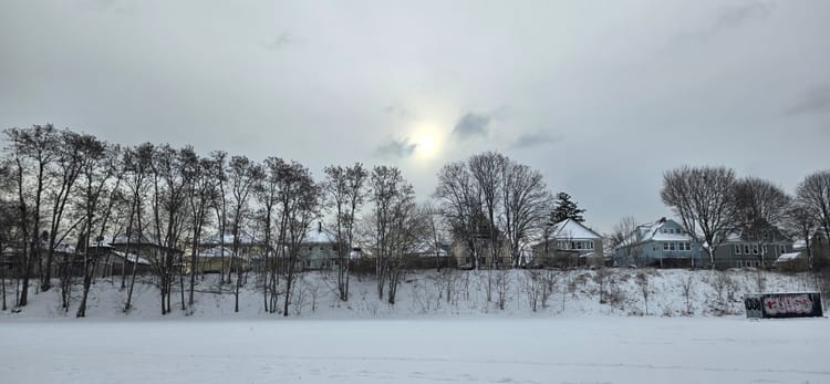 Snowy field, bare trees, row of houses from behind, gray sky.