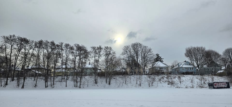 Snowy field, bare trees, row of houses from behind, gray sky.